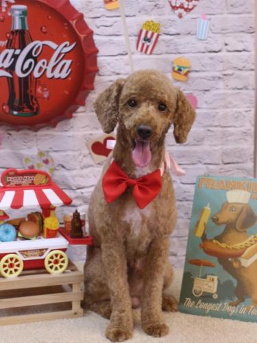 20230927ぶるくん